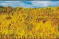 Das Kornfeld - Rima Meyendorf