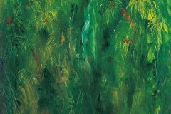 Bromelia - Rima Meyendorf