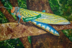 Libelle - Rima Meyendorf