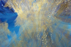 Orion - Rima Meyendorf